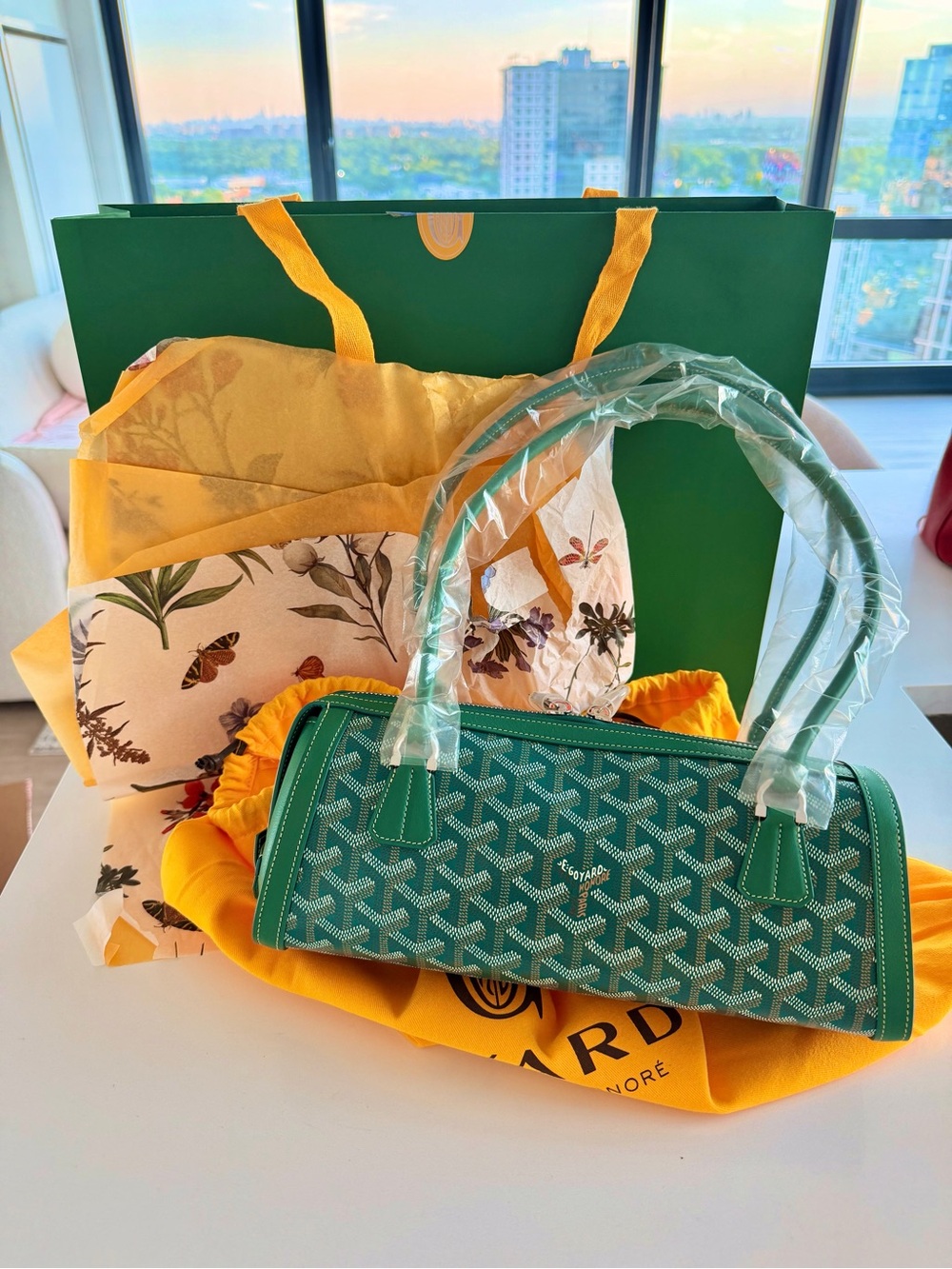 GOYARD Bonbonnière Handbag
GREEN Goyardine Canvas Full
Packaging + Receipt